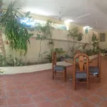 Room in Guest room - Padrinos Hostal La Paz Full House