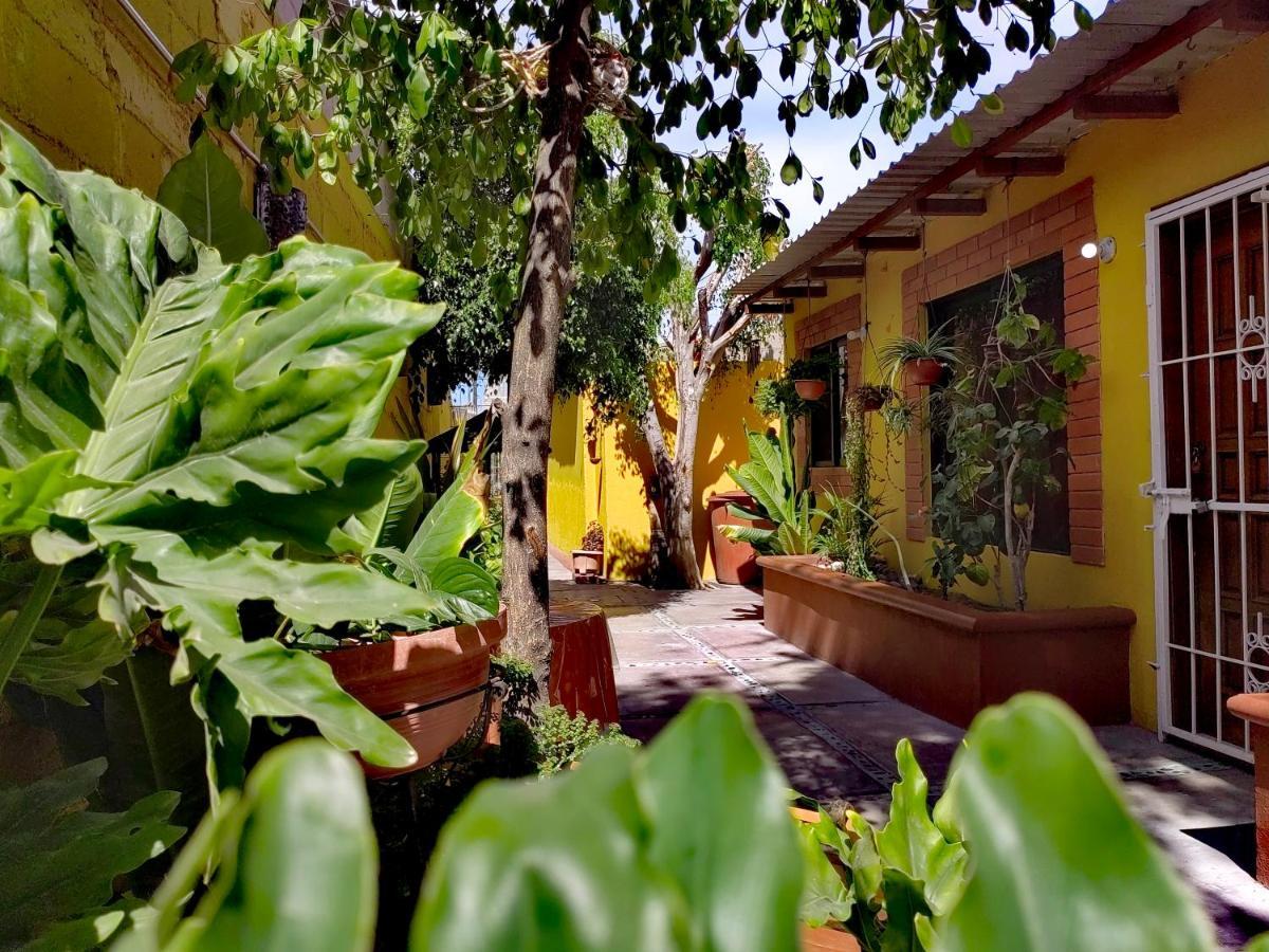 Casa Caracoles Apartment
