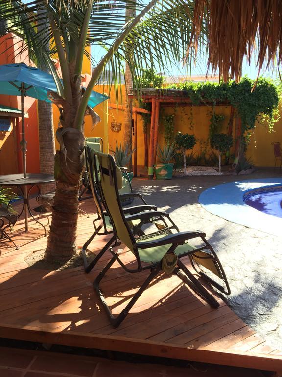 Leo's Baja Oasis Pensión La Paz