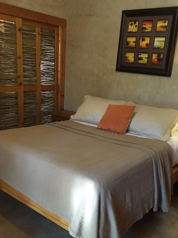Leo's Baja Oasis Pensión La Paz