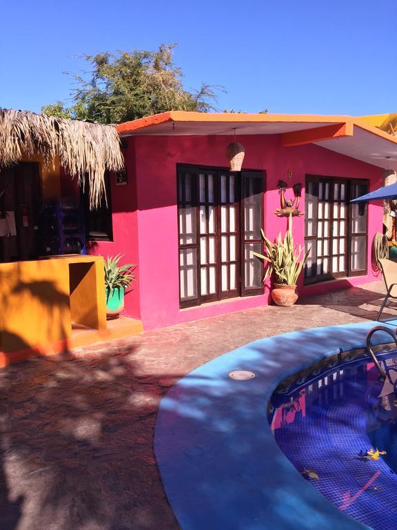 Pensión Leo's Baja Oasis La Paz
