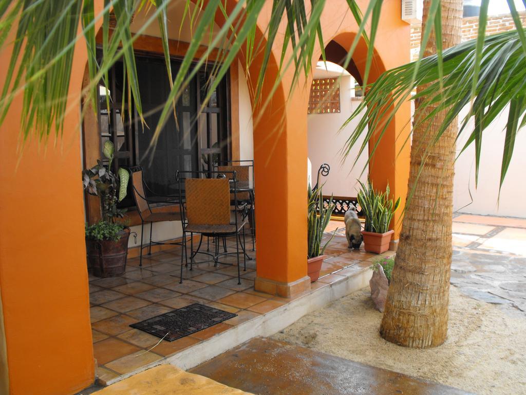 Leo's Baja Oasis Pensión La Paz