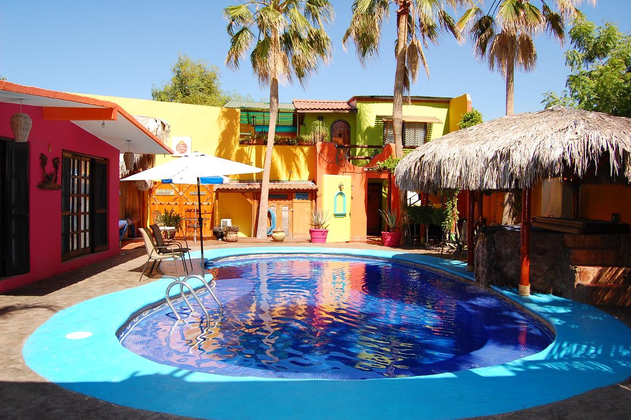 Leo's Baja Oasis Pensión 3*