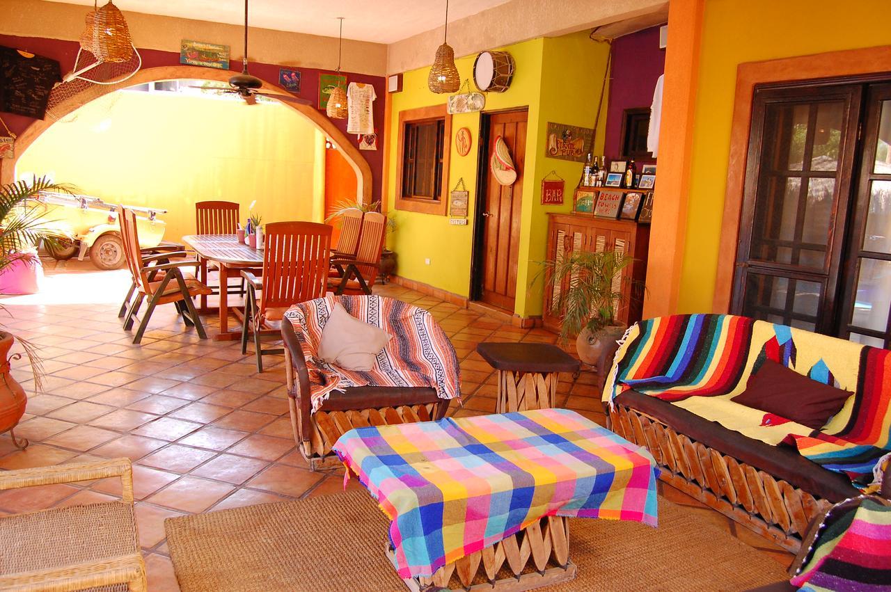 Leo's Baja Oasis Pensión La Paz
