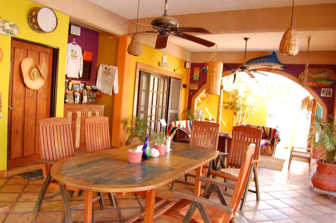 Pensión Leo's Baja Oasis La Paz