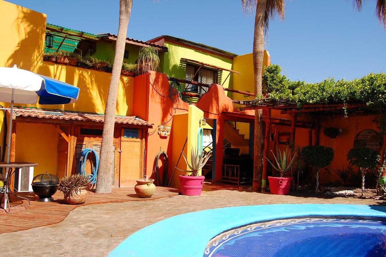 Pensión Leo's Baja Oasis La Paz