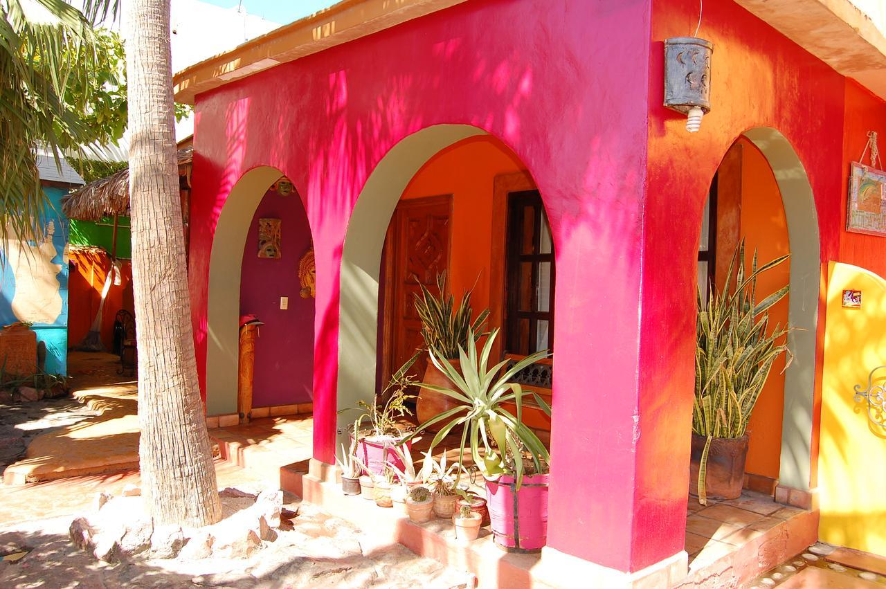 Pensión Leo's Baja Oasis La Paz