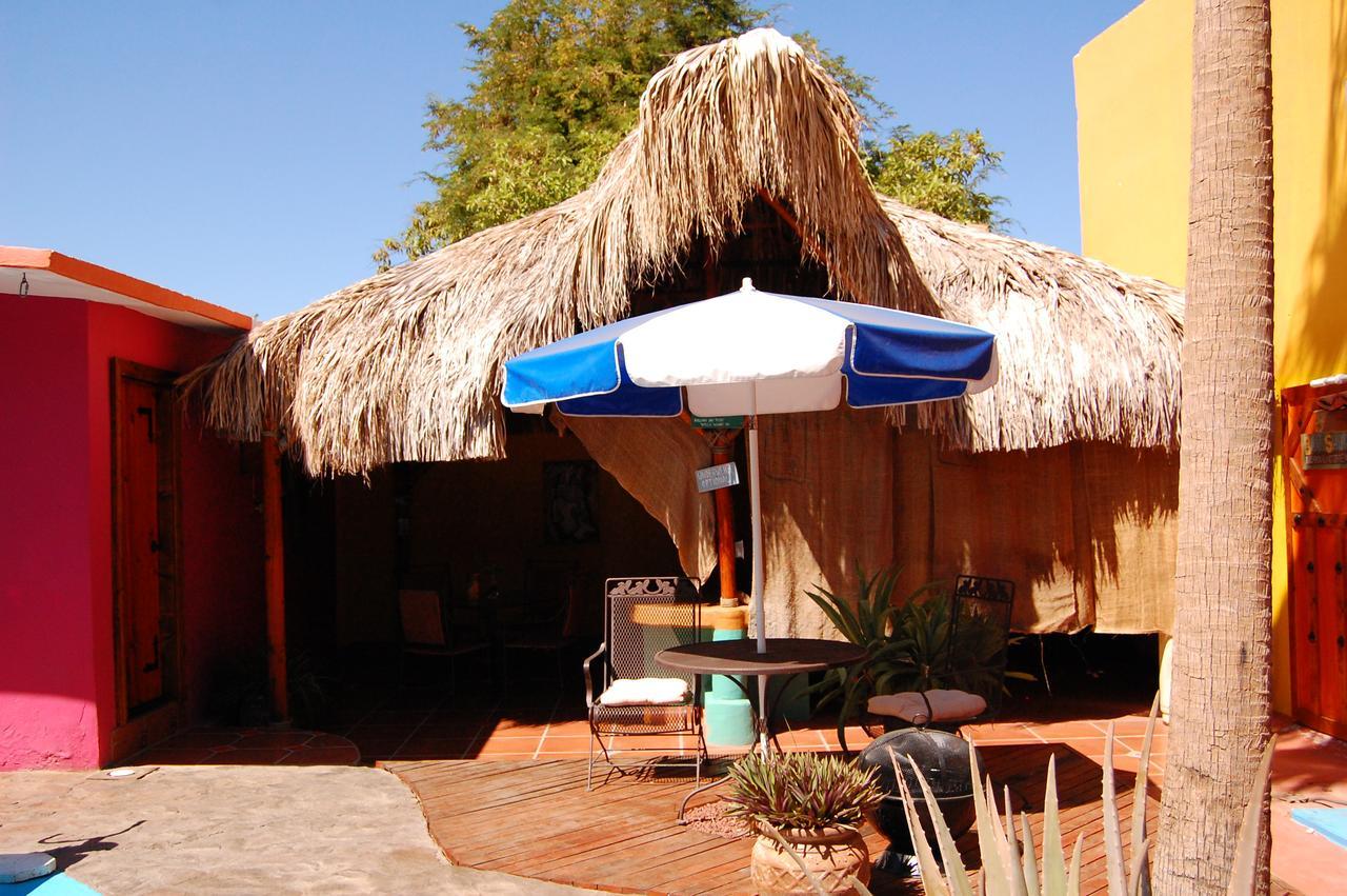 Leo's Baja Oasis Pensión La Paz
