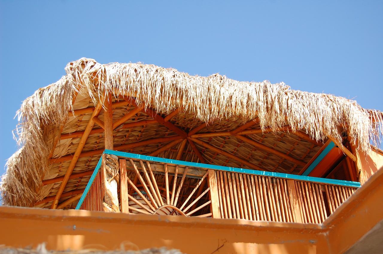 Leo's Baja Oasis Pensión 3*