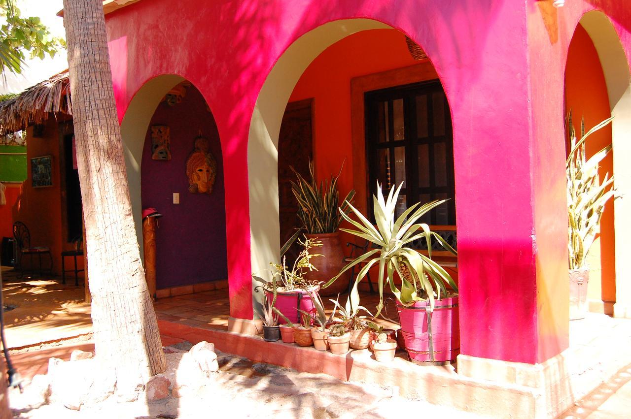 Pensión Leo's Baja Oasis La Paz
