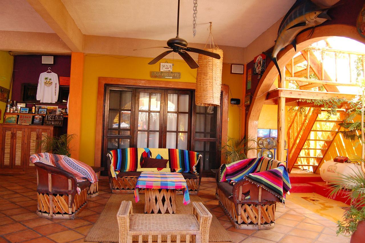 Leo's Baja Oasis Pensión La Paz