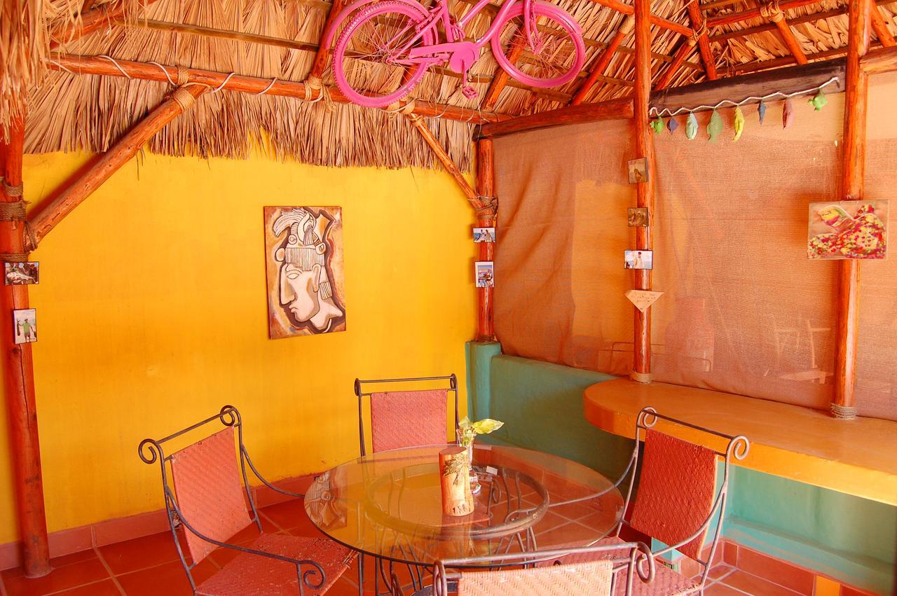 Leo's Baja Oasis Pensión