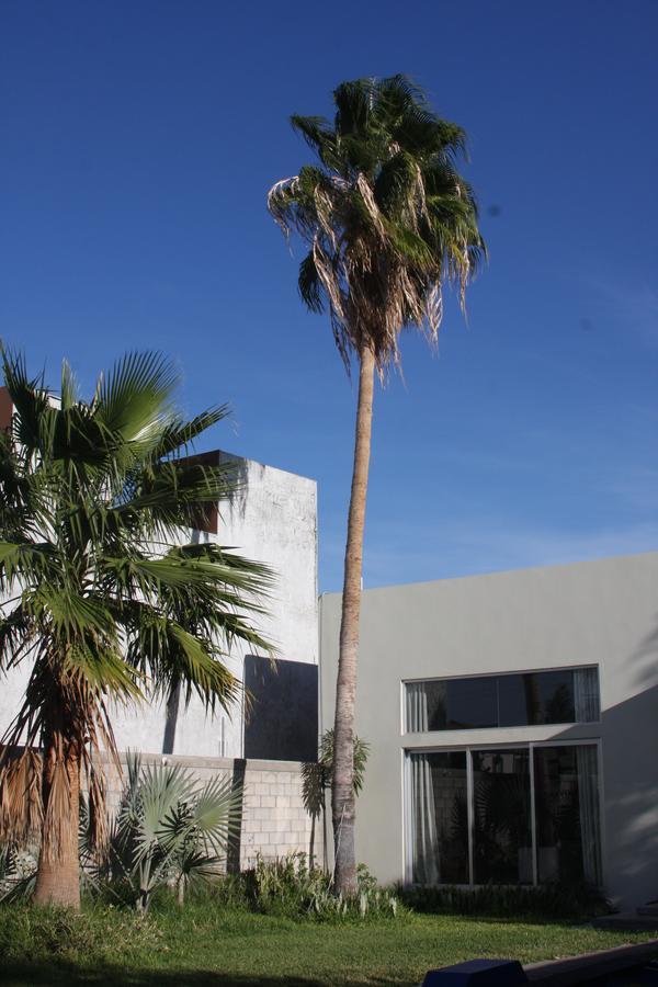 Casa Rangel La Paz