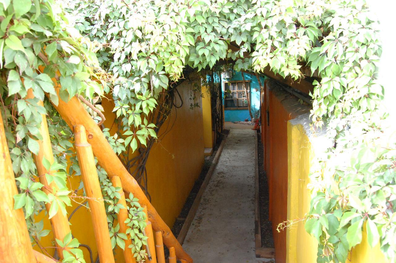 Leo's Baja Oasis Pensión La Paz