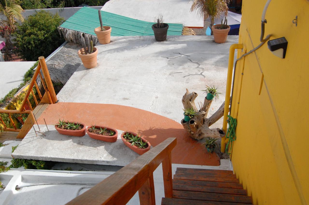 Leo's Baja Oasis 3* La Paz