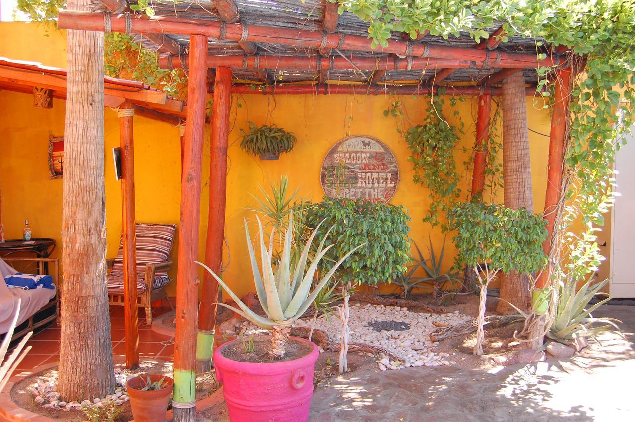 Leo's Baja Oasis La Paz