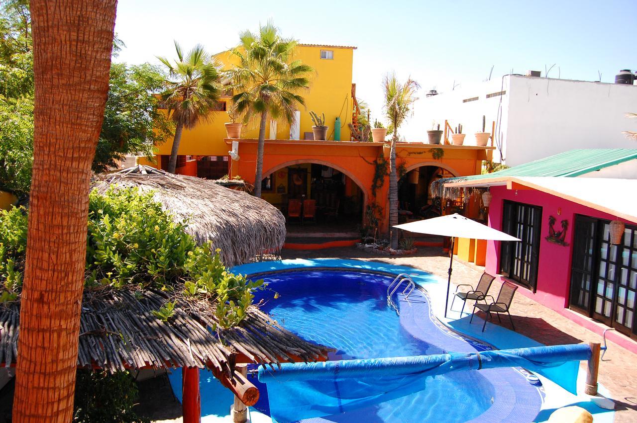 Leo's Baja Oasis