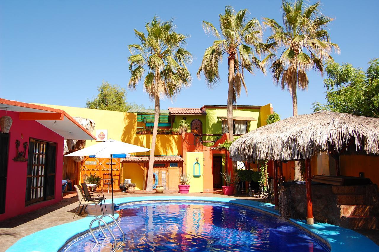 Leo's Baja Oasis
