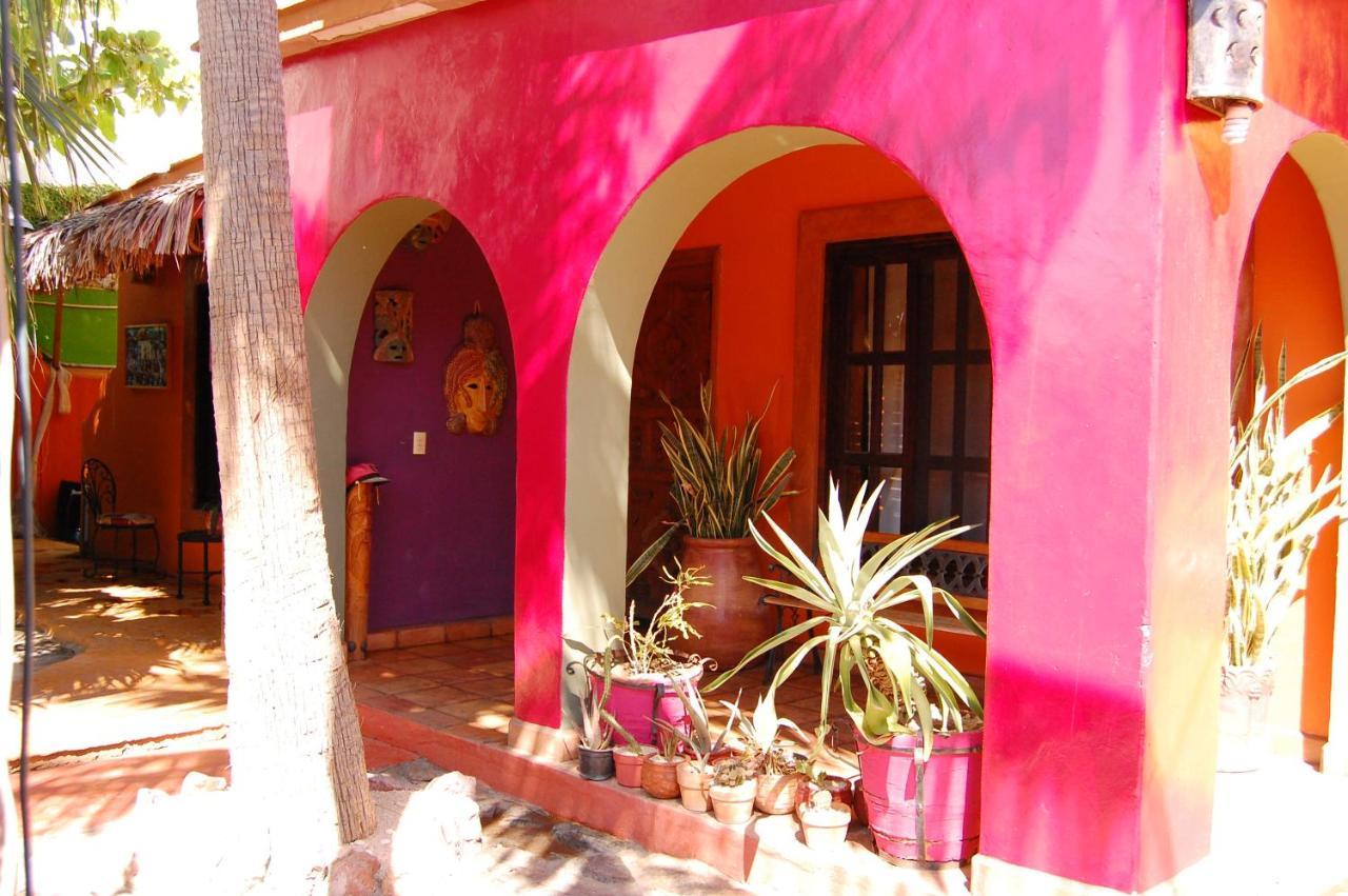 Leo's Baja Oasis Pensión