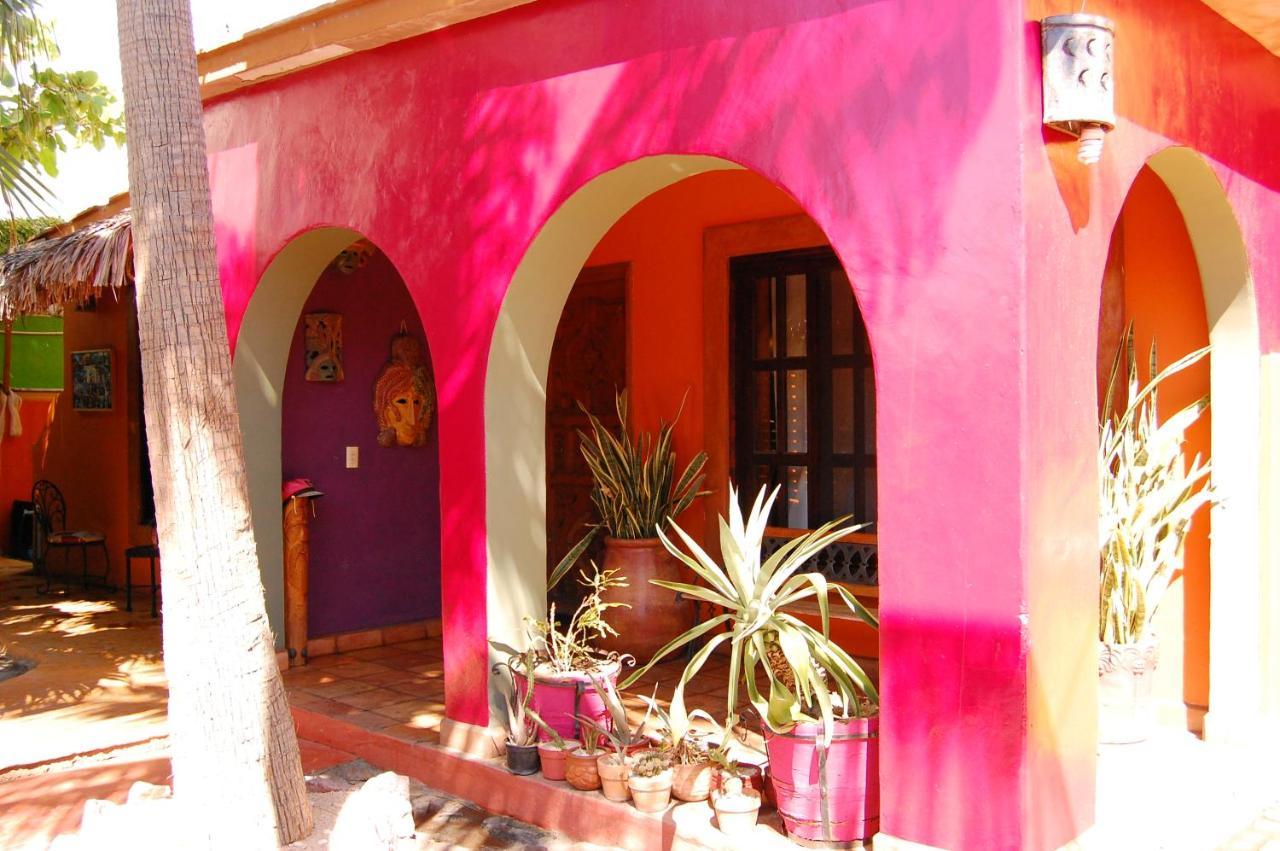 Leo's Baja Oasis Pensión