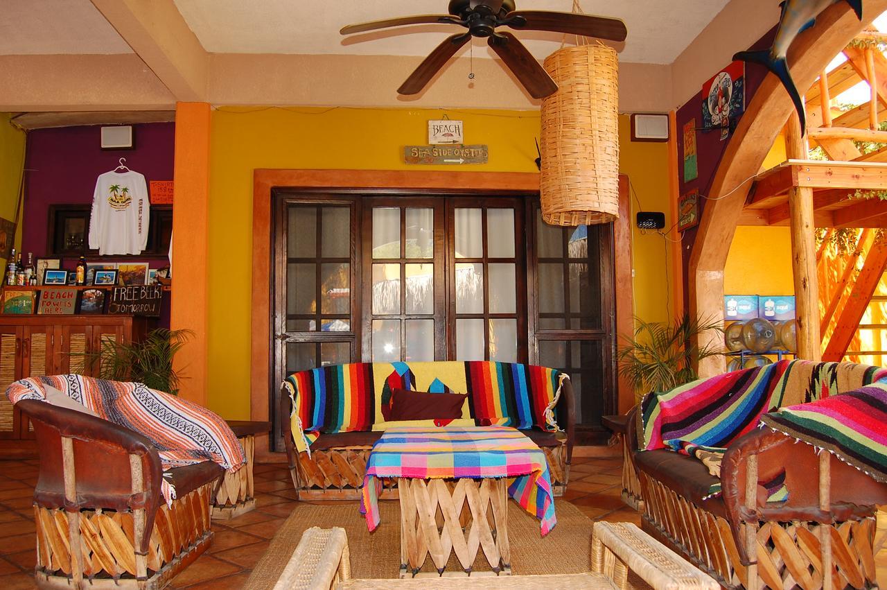 Leo's Baja Oasis Pensión La Paz