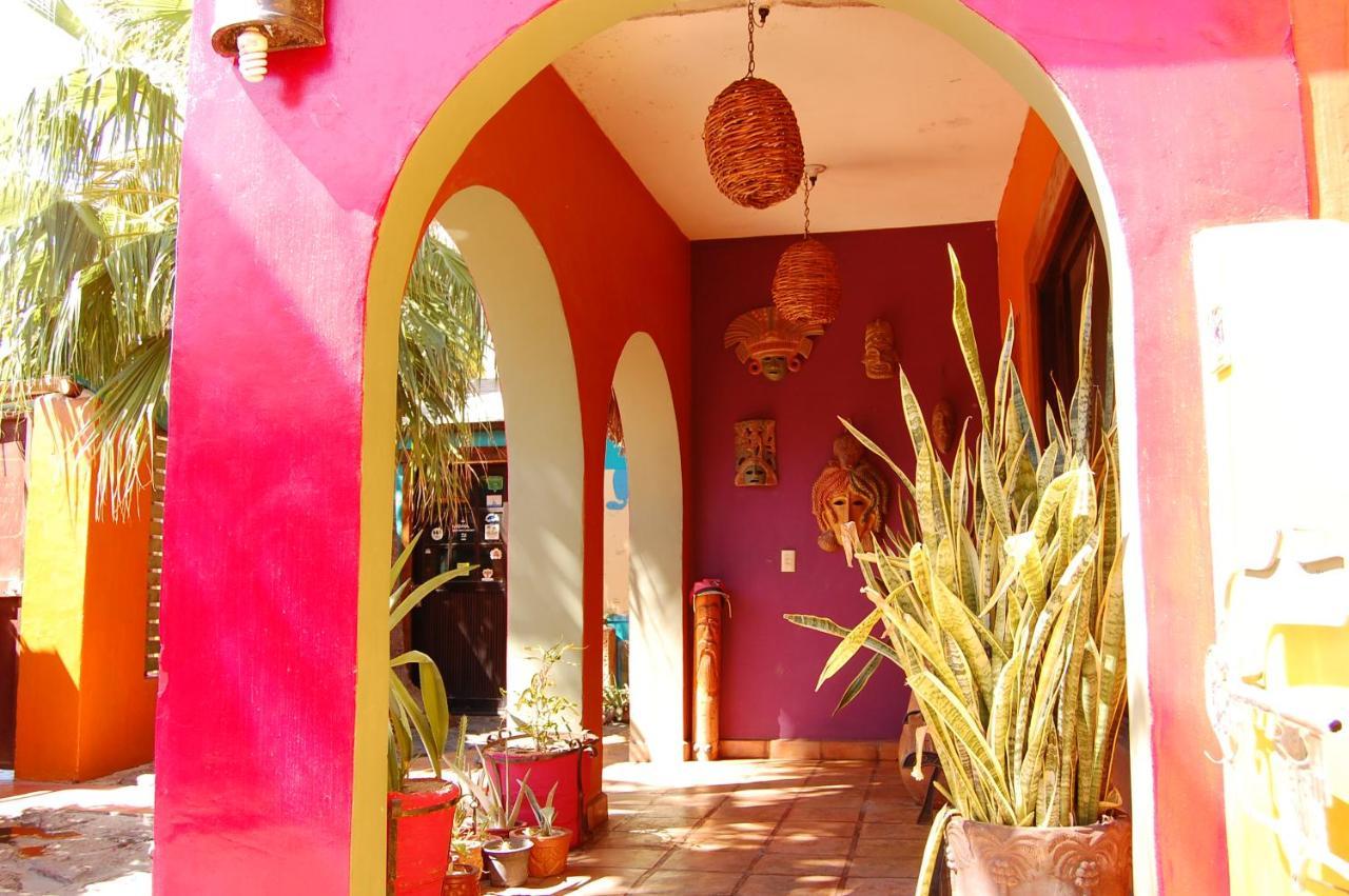 Pensión Leo's Baja Oasis 3*