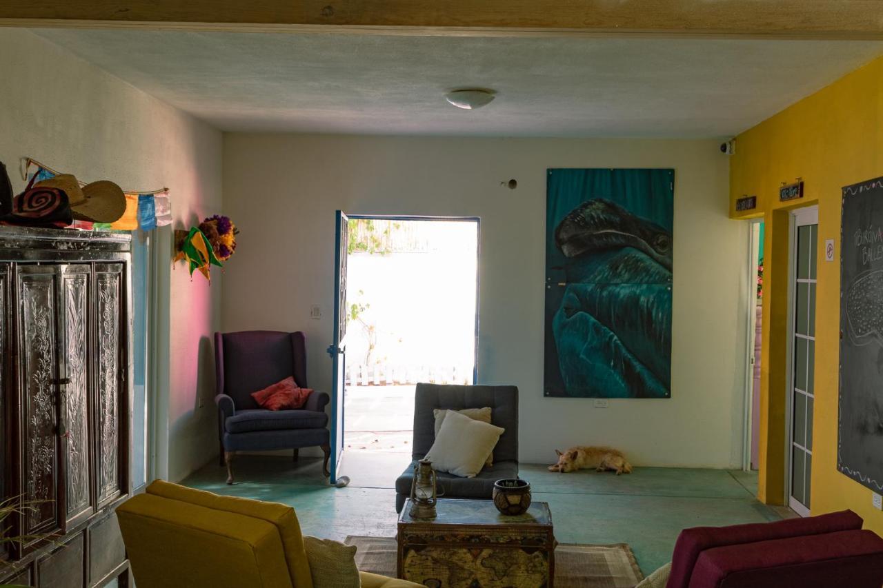 Hostel Peace Mx