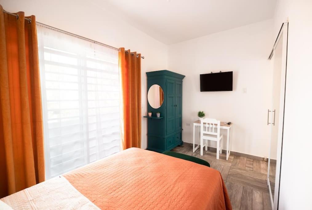 New Apt Super Cozy & Pet Friendly Close To Marina #3
