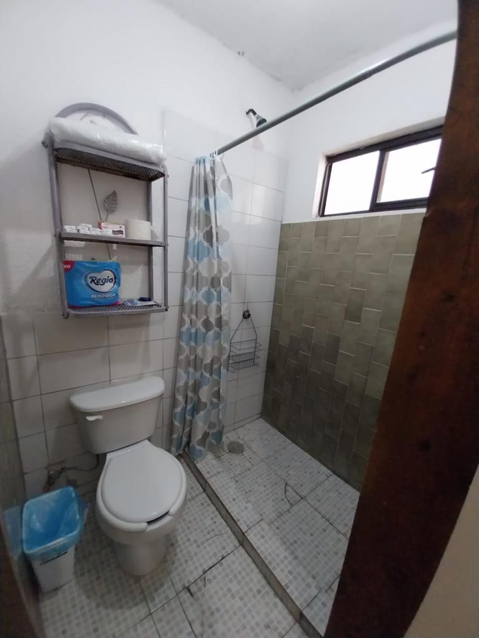 Trebol Estudio