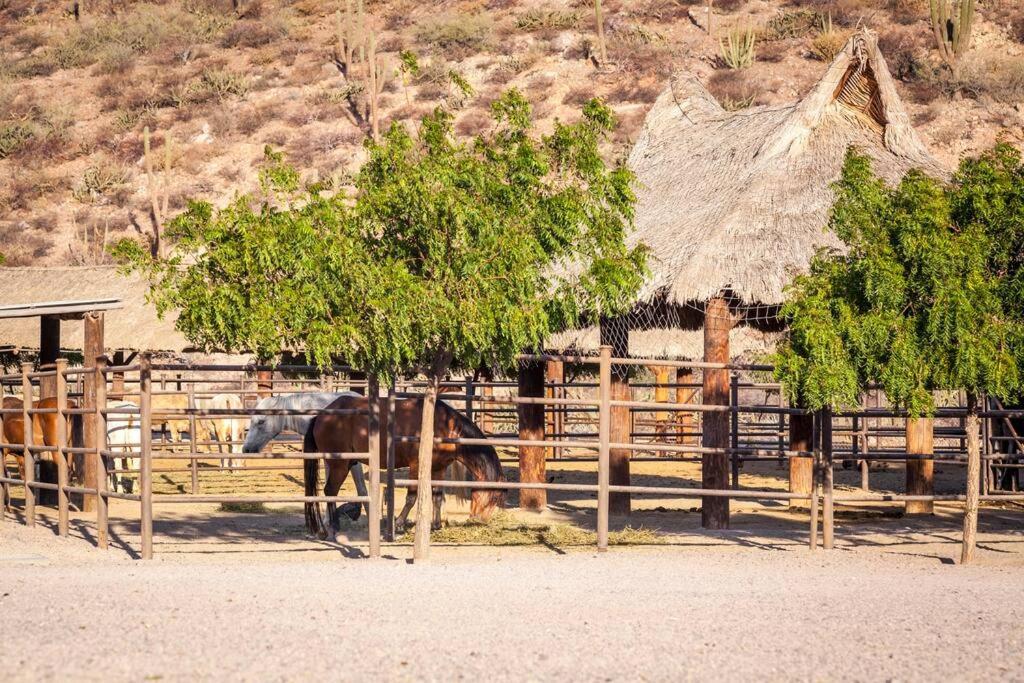 Сasa de vacaciones Rancho San Lorenzo - 2 Bedroom House In Authentic Ranch - Casa Bugambilias
