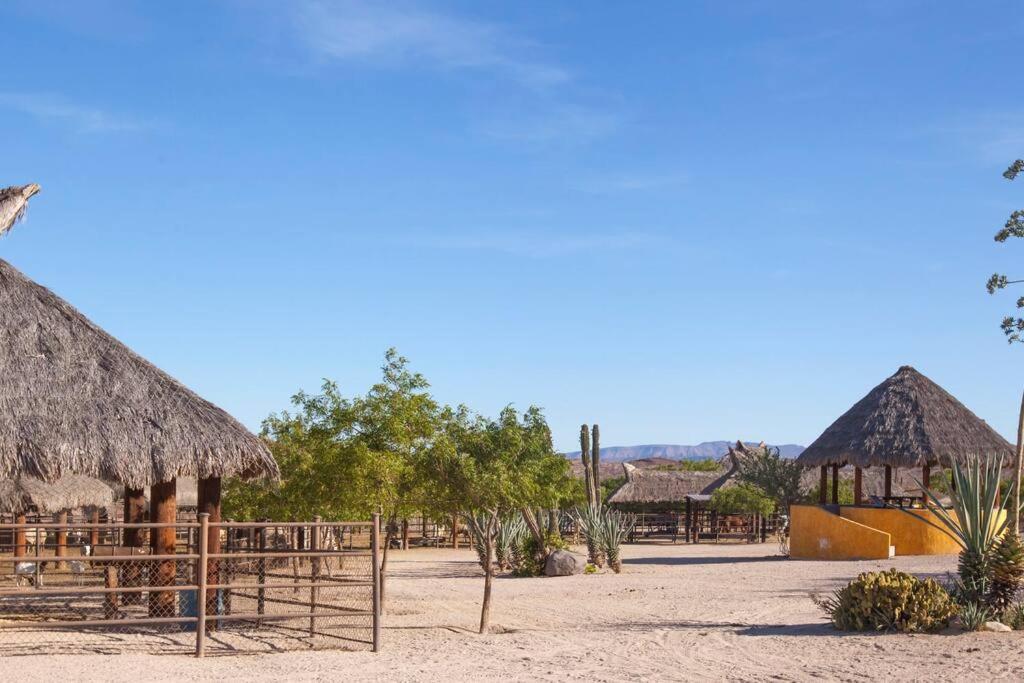 Rancho San Lorenzo - 2 Bedroom House In Authentic Ranch - Casa Bugambilias Сasa de vacaciones La Paz