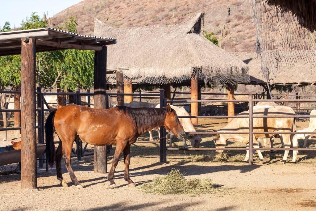 Сasa de vacaciones Rancho San Lorenzo - 2 Bedroom House In Authentic Ranch - Casa Bugambilias