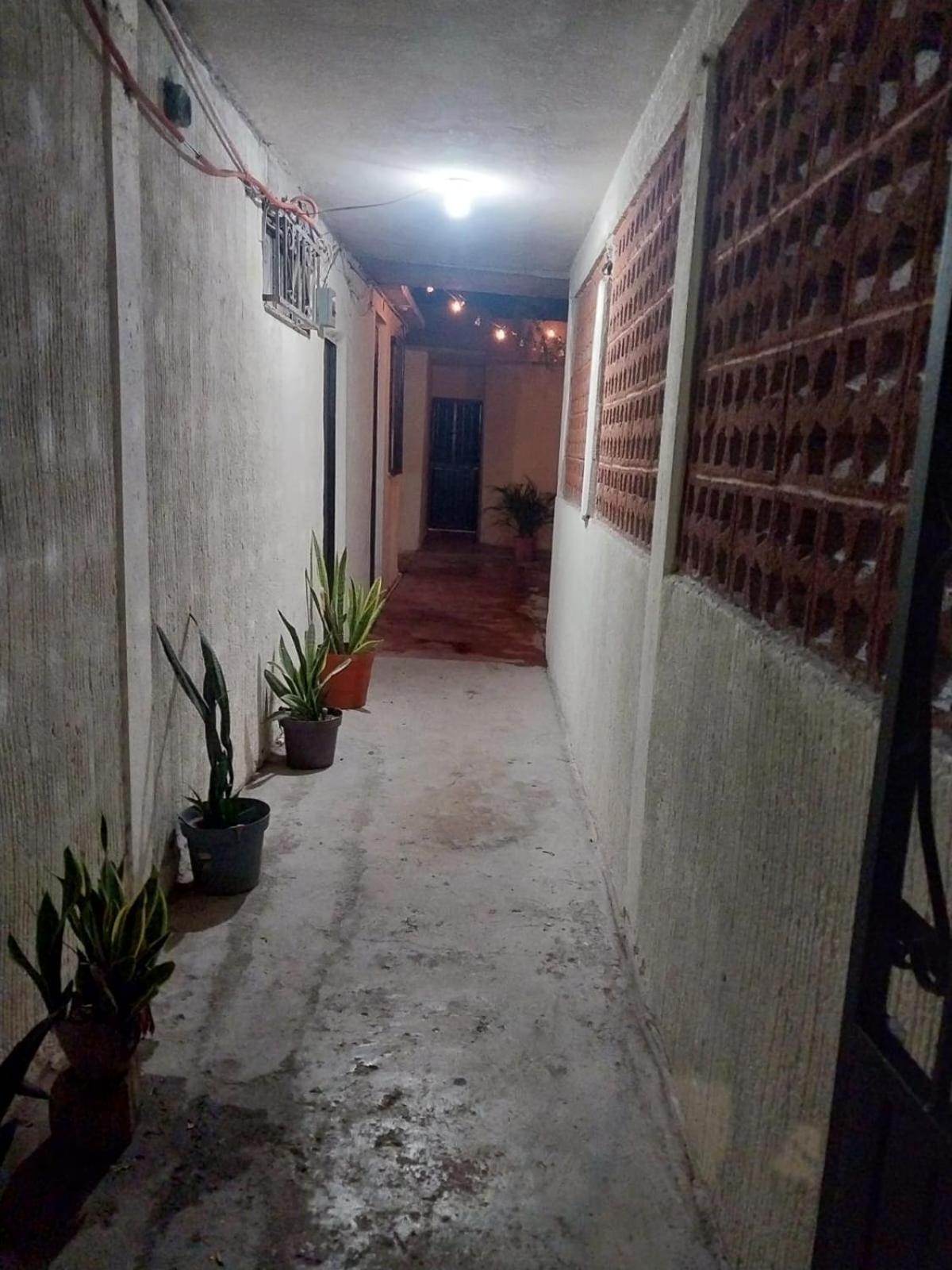 Trebol Estudio * La Paz