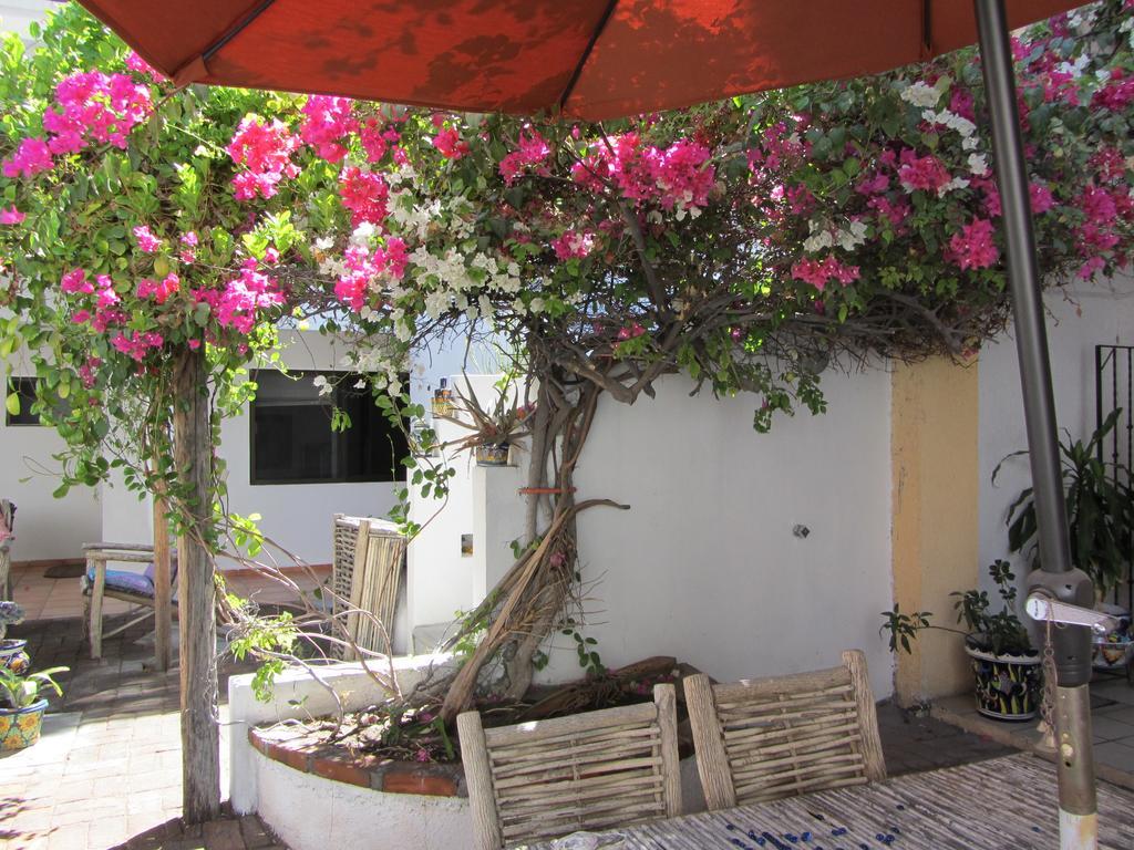 Bed and breakfast Baja *