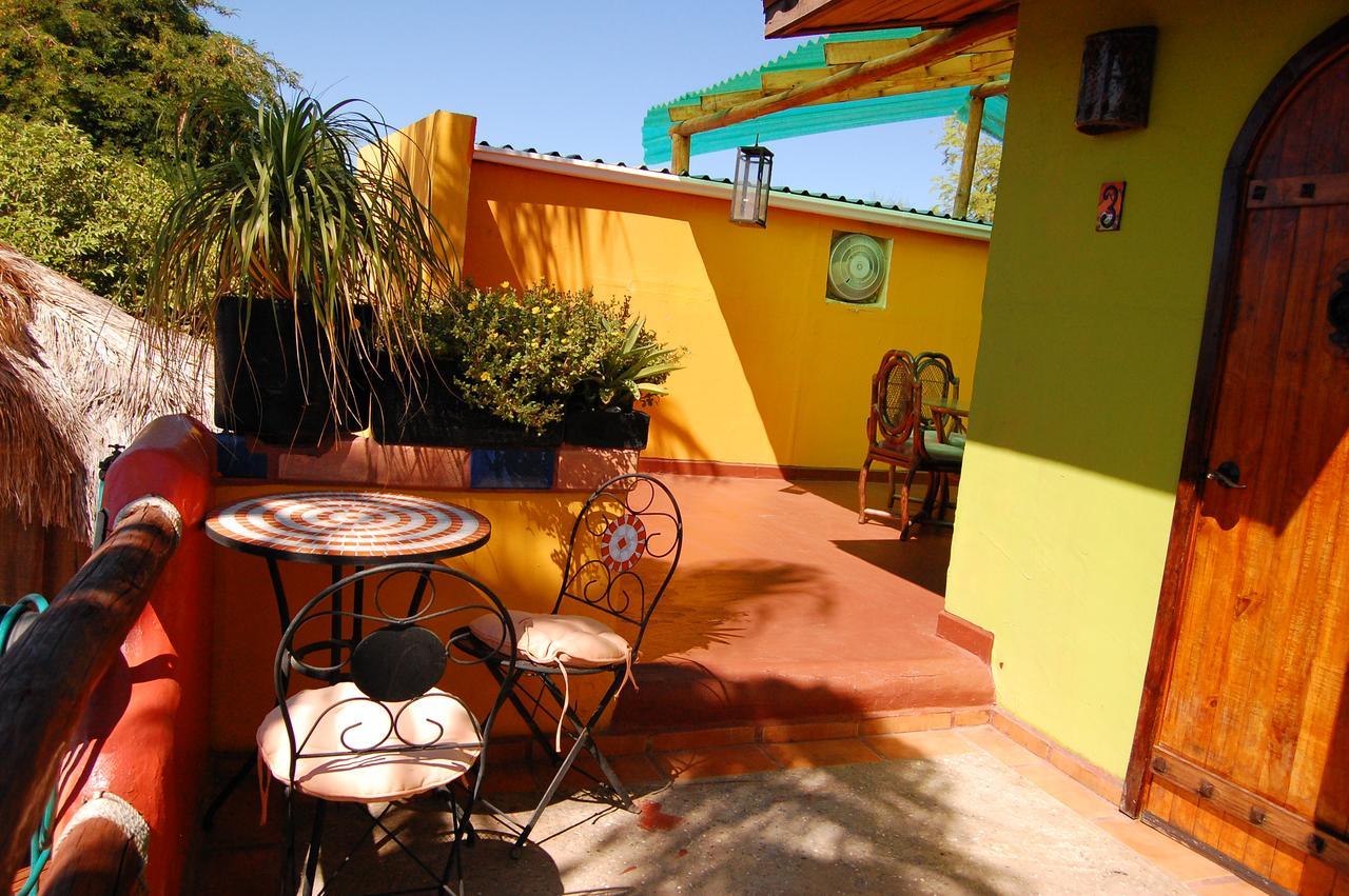 Leo's Baja Oasis Pensión La Paz
