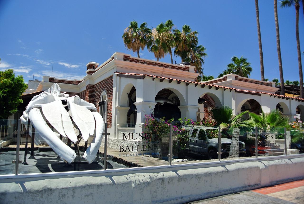Bermejo & Backpackers (adults Only) Hostel *