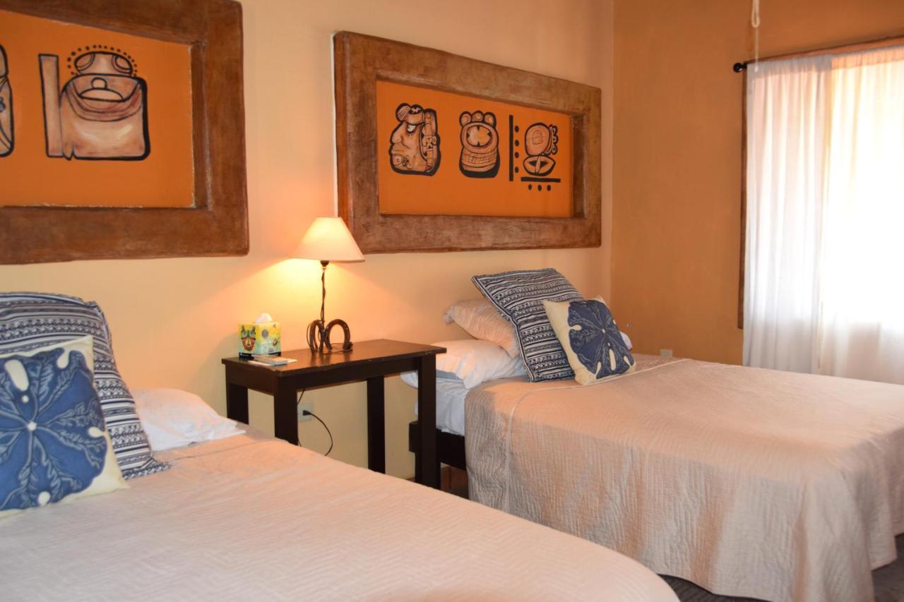 Pensión Leo's Baja Oasis La Paz